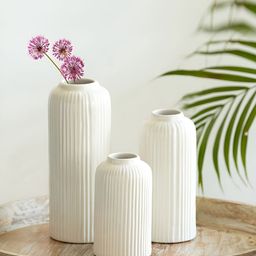 ExclusiveLane White 3 Pieces Textured Ceramic Flower Vases-image-22