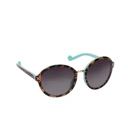 Titan Unisex Black Lens & Brown Cateye Sunglasses with Polarised and UV Protected Lens-42