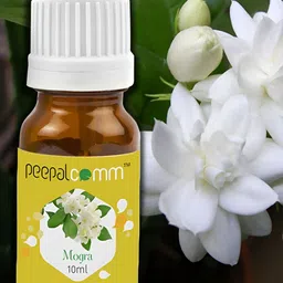 PEEPALCOMM 2-Pcs White Textured Buddha Aroma Oil Diffuser 10ml Each image 5