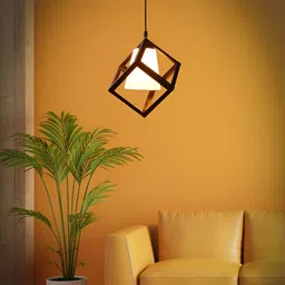 KINIS Modern and Unique Style Black & White Ceiling Lamp-50