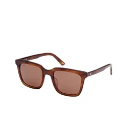 WEB EYEWEAR Unisex Wayfarer Sunglasses with UV Protected Lens WE0309 53 53G-picture-43