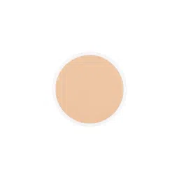 Stars Cosmetics Face Makeup Waterproof Foundation Palette Refills - 4 gm S4-24