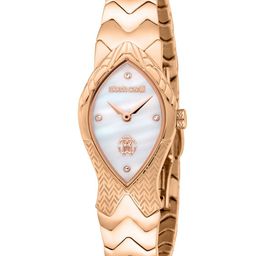 Roberto Cavalli Women Embellished Bracelet Style Straps Analogue Watch RC5L092M0045-image-71