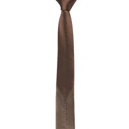 Alvaro Castagnino Men Brown & Black Woven Design Skinny Tie-image-34