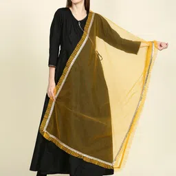 Dupatta Bazaar Sequins Embroidered Net Dupatta-13