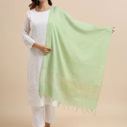 Dupatta Bazaar Dupatta with Sequinned image 1