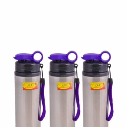 Shivshakti Arts Steel & Blue 3 Pieces Copper Water Bottle 750 ml-image-43