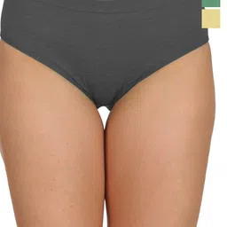 Reveira Pack Of 3 Hipster Briefs-18