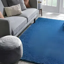 Shopgallery Blue Anti-Skid Carpet-picture-13