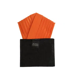 Alvaro Castagnino Men Orange Solid Pocket Square-image-5