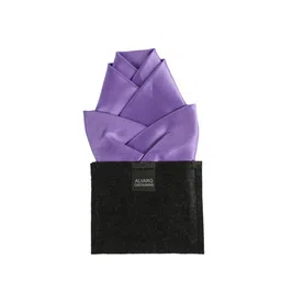 Alvaro Castagnino Men Violet Solid Pocket Squares-image-92