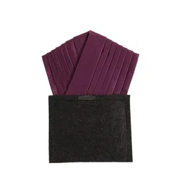 Alvaro Castagnino Men Purple Solid Pocket Square-image-12
