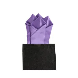 Alvaro Castagnino Men Purple Solid Pocket Squares-image-77