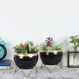 Amaya Decors Set of 2 Black & Gold-Toned Solid Apple Shape Metal Planters-33
