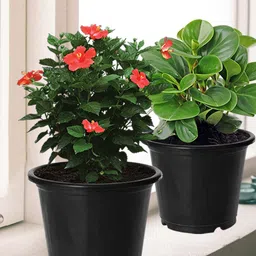 Kuber Industries Pack of 8 Black Layered Plastic Planters With Drainage Hole image 1