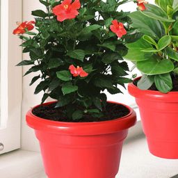 Kuber Industries Red 3 Pcs 2 Layered Planters image 1