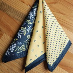Alvaro Castagnino Men Multi-Coloured Printed Pocket Square-image-24