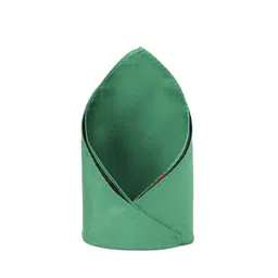 Peter England Men Green Solid Pocket Squares-picture-9
