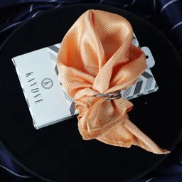 KOVOVE Men Orange Patterned Pocket Square-image-59