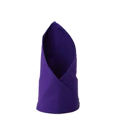 Van Heusen Purple Solid Pocket Square-picture-5