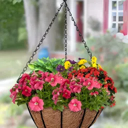 Garden Deco Brown & Black 2 Pieces Textured Planters With Coco Liner & Chain-picture-4