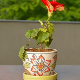 StyleMyWay White & Yellow Printed Ceremic Planter With Tray-53