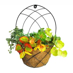 Garden King Set Of 6 Black 20 Inch High Back Coir Wall Mount Planters-5