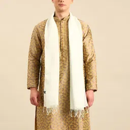 Linen Club Unisex Linen Stole With fringed border-23