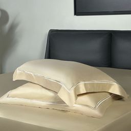 ERBA Beige King Bedsheet with 2 Pillow Covers-image-78