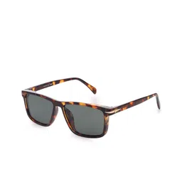 Hashtag Unisex Wayfarer Sunglasses With Polarised Lens Vos(34)-DB7061_Tiger Texture -81-image-57