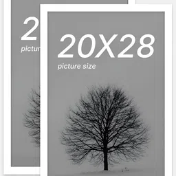 Art Street White 2 to 4 Pieces Wood Wall Photo Frames-image-76