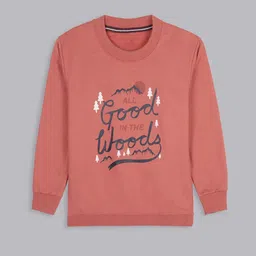 BAESD Boys Cotton Printed Round Neck Sweatshirt-image-29