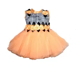 Samjho Fashion Georgette Fit & Flare Dress-picture-36