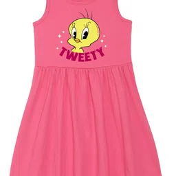 Wear Your Mind Girls Tweety Printed Fit and Flare Dress-image-65