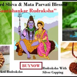 FOREVER Gems Nepali Gauri Shankar Rudraksha Original Certified 9 Mukhi Gaurishankar Rudraksh Precious Beads Shiv Parvati Ruthratcham for All गौरी शंकर नेपाल रुद्राक्ष image 5