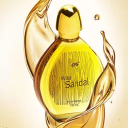 CFS Wild Sandal Eau De Parfum-100ml &  Cargo Blue Long Lasting Perfume-25ml-picture-51
