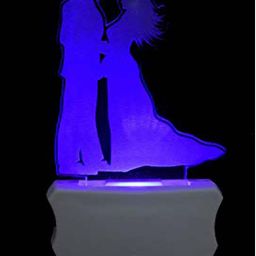 NMII Transparent 3D Illusion Couples Printed Night Lamp-0
