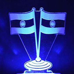 NMII White & Blue Tiranga Flag Printed 3D Illusion Night Lamp-23