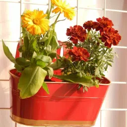 ecofynd 12 Inches Oval Rectangular Set of 3 Red Metal Planter-picture-17