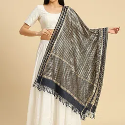 Dupatta Bazaar Ethnic Motifs Woven Design Dupatta with Zari-44