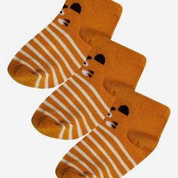 Bodycare Set Of 3 Cotton  Striped  Ankle-Length Socks-image-39