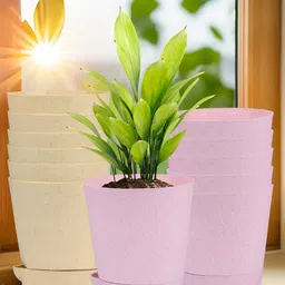Kuber Industries Marble Titan Beige & Pink 12 Pieces Planters With Tray-image-78