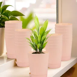 Kuber Industries Marble Titan Peach 24 Pieces Planters With Tray-image-94
