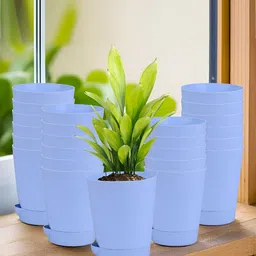 Kuber Industries Blue 24 Pieces Marble Finish Planters With Tray-picture-18