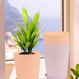 Kuber Industries Peach & Pink 6 Pieces Marble Finish Planters With Tray-2
