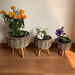 The Advitya Set Of 3 Jute Planter Baskets-42