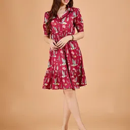 Amarasha Women Shirt Collar Fit & Flare Dress-picture-49
