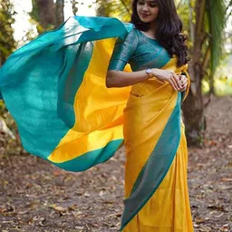 Anjaneya Sarees Ethnic Woven Design Zari Banarasi Saree-14