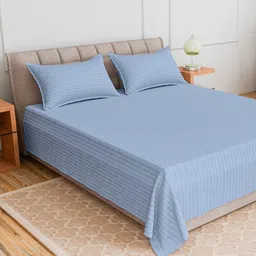 CURIOUS LIFESTYLE Blue Striped 300 TC Single Bedsheet with 1 Pillow Covers-image-85