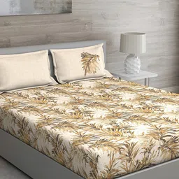 GM Brown & Off-White Floral 150 TC Cotton Queen Bedsheet with 2 Pillow Covers-image-96